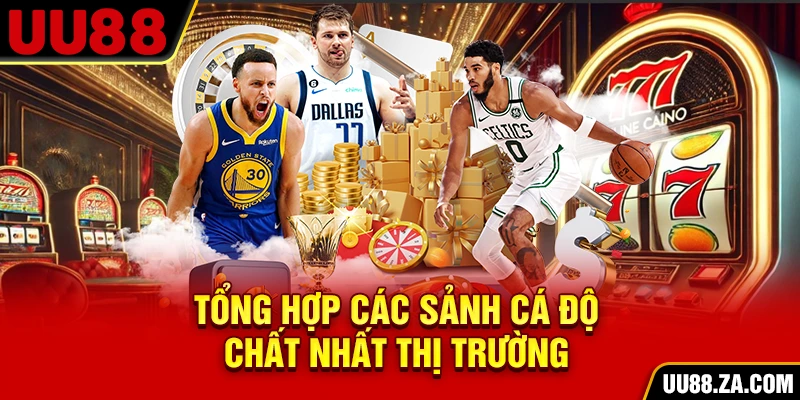 Tổng hợp các sảnh cá độ chất nhất thị trường